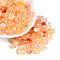 Transparent Acrylic Beads, Mixed Shapes, Two Tone, Orange, 10~14.5x7~11x4.5~6mm, Hole: 1.4mm, about 50pcs/20g