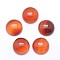 Natural Carnelian Cabochons, Dyed & Heated, Half Round, 12x5~6mm