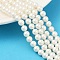 Round Shell Pearl Beads Strands, Matte Surface, Polished, Seashell Color, 6.5mm, Hole: 0.8mm, about 67pcs/strand, 15.98''(40.6cm)