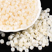 Бисер из стекла  SEED-T008-01B