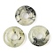 Natural Prehnite Pendants, Donut/Pi Disc Charms, 16x4.5mm, Hole: 5mm