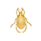 304 Stainless Steel Insect Pendants, Beetle Charm, Golden, 31x27mm