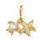 Brass Pave Clear Cubic Zirconia European Dangle Charms, Turtles Starfish Large Hole Pendants, Real 18K Gold Plated, 29mm, Hole: 4.6mm