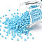 12/0 Glass Seed Beads, Opaque Colours Seed, Small Craft Beads for DIY Jewelry Making, Round, Round Hole, Light Sky Blue, 12/0, 2mm, Hole: 1mm, about 3333pcs/50g, 50g/bag, 18bags/2pounds