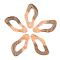 Transparent Resin & Walnut Wood Pendants, with Gold Foil, Teardrop, Dark Salmon, 38x20x3mm, Hole: 2mm