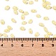Выпечка краска стеклянные бусины SEED-T006-03B-4