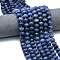 Natural Blue Aventurine Beads Strands, Dyed & Heated, Pumpkin Shape, with Seed Beads, 12~12.5x8~8.5mm, Hole: 1mm, about 36~37pcs/strand, 15.20''(38.6cm)