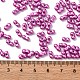 Выпечка краска стеклянные бусины SEED-L011-12A-12-4