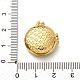 Латунь эмаль Locket подвески KK-K305-06G-4