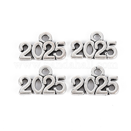 Подвески из сплава в тибетском стиле X-TIBE-S323-110AS-RS-1
