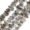Natural Labradorite Beads Strands, Chip, 5~8mm, Hole: 1mm, about 80~81cm