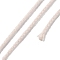 20M Polyester Braided Cord for Jewelry Making, Round, Old Lace, 2mm, about 21.87 Yards(20m)/Roll