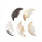 Natural Black Lip Shell Carved Pendants, Fish Charms, Seashell Color, 27~27.5x12~13x1~2mm, Hole: 1.2~1.4mm