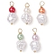 5Pcs 5 Colors Plastic Imitation Pearl Beaded Pendants Sets, with Real 24K Gold Plated 304 Stainless Steel Ball Head Pins, Round & Nuggest, Mixed Color, 21~22x9~10x8.5~10mm, Hole: 2.5~3mm, 1pc/color