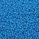 Выпечка краска стеклянные бусины SEED-S001-K17-2