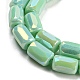Стеклянные бусины EGLA-P052-03C-01-3