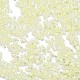 Стеклянные бусины прозрачных цветов SEED-H003-01N-3