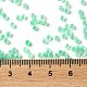 Бисер из стекла  X-SEED-S042-13A-11-4