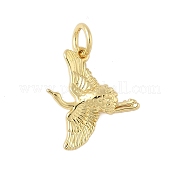 Латунные подвески KK-L245-09G