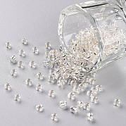 8/0 стакан бисер SEED-A005-3mm-21