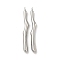 Non-Tarnish 304 Stainless Steel Pendants, Branch Charm, Stainless Steel Color, 26x3x2mm, Hole: 1.2mm