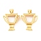 Rack Plating Brass Locket Pendants, with Plastic, Cadmium Free & Lead Free, Long-Lasting Plated, Real 18K Gold Plated, Medal, 21x18.5x6mm, Hole: 4x3mm