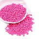 Выпечка краска стеклянные бусины SEED-T006-03Q-3