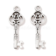 Тибетском стиле сплава Skeleton Key подвески TIBEP-Q043-014-RS