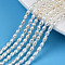 Natural Cultured Freshwater Pearl Beads Strands, Rice, Seashell Color, 3~5x2.5~3mm, Hole: 0.6mm, about 94~100pcs/strand, 13.70''~14.49''(34.8cm~36.8cm)