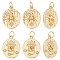Beebeecraft 1 Box 10Pcs 2 Style Flat Round Charms 18K Gold Plated Brass Spider Snake Cubic Zirconia Pendants Charm with Jump Ring for Men Halloween Necklaces Jewelry Making