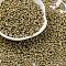 8/0 Baking Paint Glass Seed Beads, Round Hole, Teardrop, Dark Khaki, 3x2mm, Hole: 1mm, about 416pcs/10g