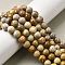 Natural Fossil Coral Beads Strands, Round, 8mm, Hole: 1mm, about 50pcs/strand, 15.83''(40.2cm)