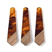 Подвески из смолы и дерева WOOD-F015-05A
