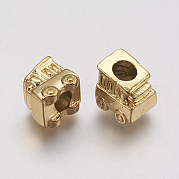 Ионное покрытие (IP) 304 нержавеющая сталь европейские бусины STAS-J022-110G