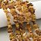 Natural Amber Beads Strands, Chip, 8~15x3.5~6x2.5~5mm, Hole: 0.7mm, 15.35 inch(39cm)