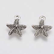 Подвески из сплава в тибетском стиле TIBE-T011-207AS-FF