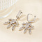Fashionable Brass Clear Cubic Zirconia Eye Hoop Earrings, Silver, 39x21mm