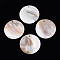 Natural Freshwater Shell Big Pendants, Disc Charms, Seashell Color, 60~60.5x2~4mm, Hole: 2.5~3mm