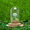 Glass Dome Cover with Natural Green Aventurine Mushroom Inside, Cloche Bell Jar Terrarium with Cork Base, Micro Landscape Garden Decoration Accessories, 30x55mm