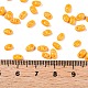 Выпечка краска стеклянные бусины SEED-T006-03N-4
