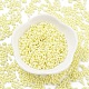 Выпечка краска стеклянные бусины SEED-A033-05E-2