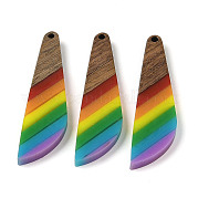 Подвески Pride на тему радуги из смолы и орехового дерева WOOD-K012-12B