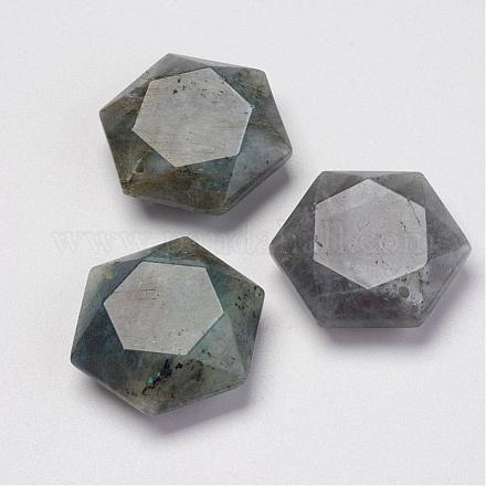 Природные подвески лабрадорита G-P264-01-1