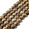 Natural Picture Jasper Beads Strands, Heart, 12x12~12.5x5~5.5mm, Hole: 1.2mm, about 33~34pcs/strand, 15.35''(39cm)
