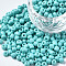 6/0 Glass Seed Beads, Baking Paint, Round Hole, Round, Pale Turquoise, 4~5x3~5mm, Hole: 1.2~1.5mm, about 4500pcs/Pound