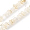 Natural Anomaly Freshwater Shell Beads Strands, Floral White, 4~5.5x10~12x4.5~5mm, Hole: 0.7mm, about 80~82pcs/strand, 14.57''(37~37.5cm)
