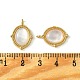Латунные подвески из ракушек KK-M277-06B-G-3