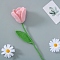 DIY Needle Felting Kit, with Iron Needles, Foam Chassis & Wool, Tulip, Mixed Color