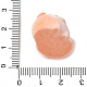 Подвески из смолы в виде животных FIND-S001-06K-3