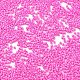 Выпечка краска стеклянные бусины SEED-S042-05B-88-3